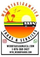 imgi 31 webbtaxi logo new 1 234x328x0x0x234x328x1670404836
